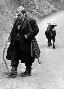 pastore ciociaro
